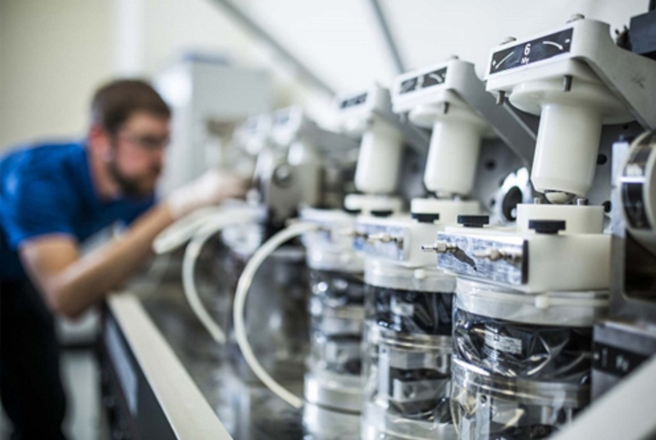 美国科学界人才流失现象引发忧虑