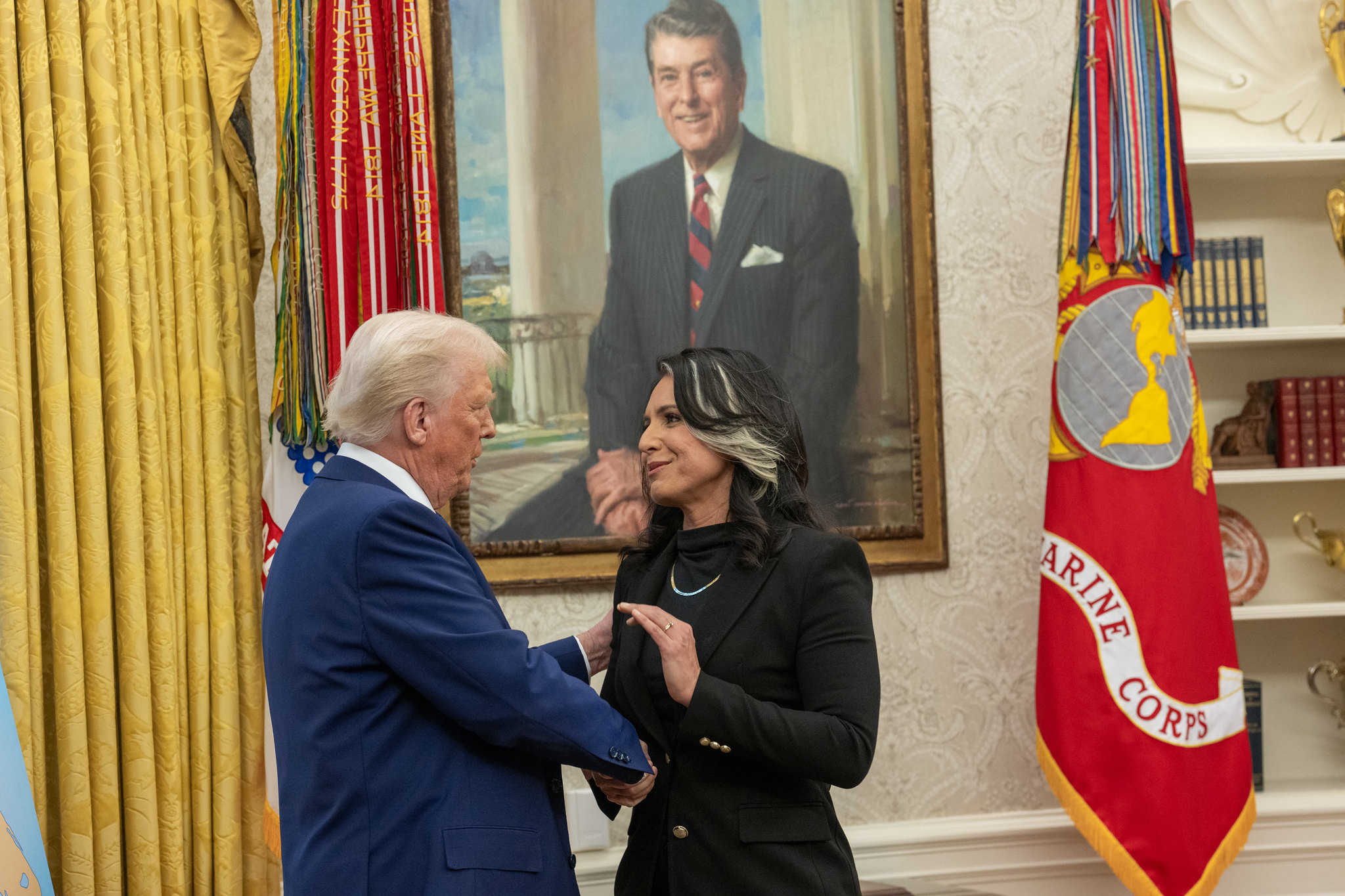 特朗普私询顾问：考虑撤换国家情报总监图尔西·加巴德