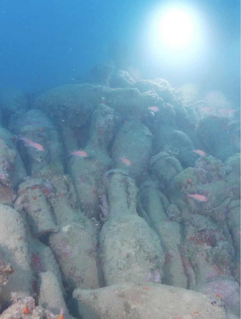 西西里岛海岸发现约2100年历史罗马沉船