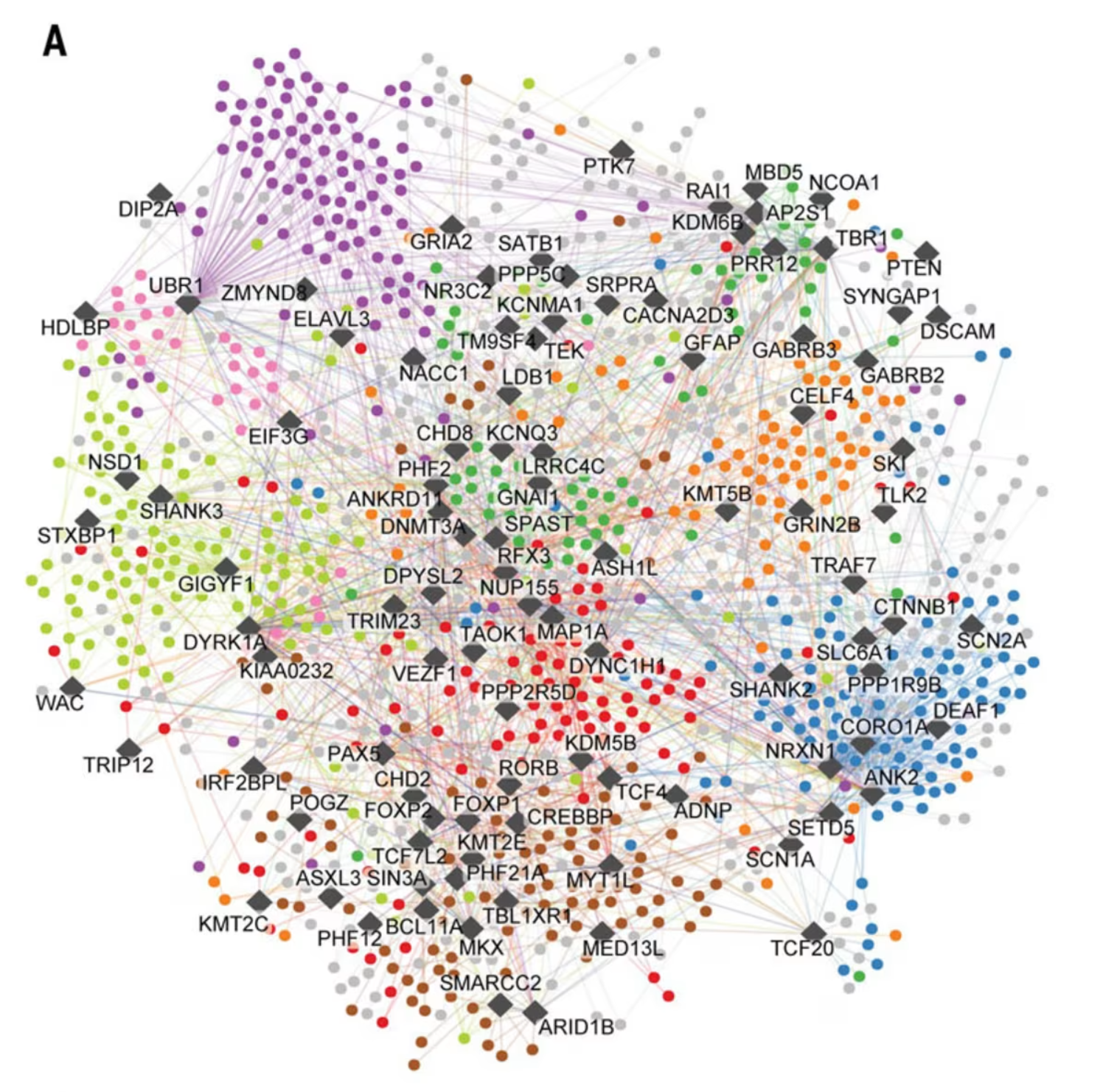 2026-08-28 14_24_35-Largest ever ‘map’ of autism may hold clues for new targeted therapies _ CNN.png