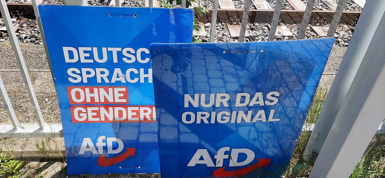 1280px-Elections_in_Saxony_May_2024;_Election_Poster_Vandalism_(EPV)_by_taking_down_election_posters;_Symbolic_image;_Shooting_location_Sebnitz_in_Saxony;.jpg