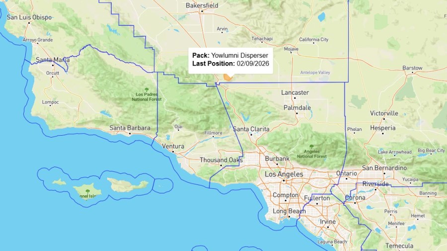 External image from static.hua.media