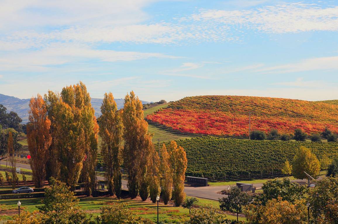 图姐 | 加州山火23人死亡包括一对百岁老人，几百人失踪，数千房屋被毁！