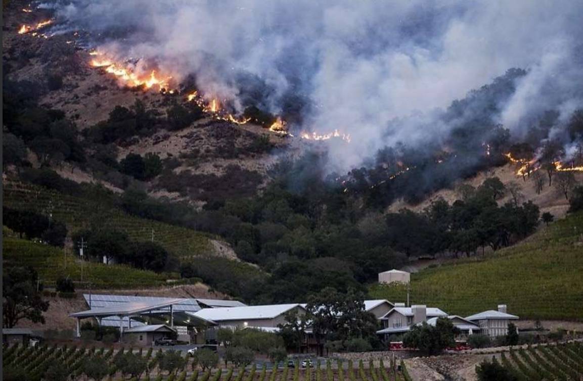 图姐 | 加州火火火,北加酒庄仙境陷火海,南加迪斯尼能见熊熊火光 图姐 | 加州火火火,北加酒庄仙境陷火海,南加迪斯尼能见熊熊火光
