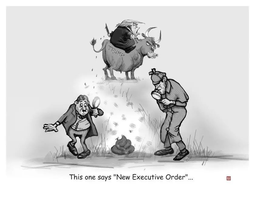 图姐 | 田召漫画专辑：川普执政一个月回顾