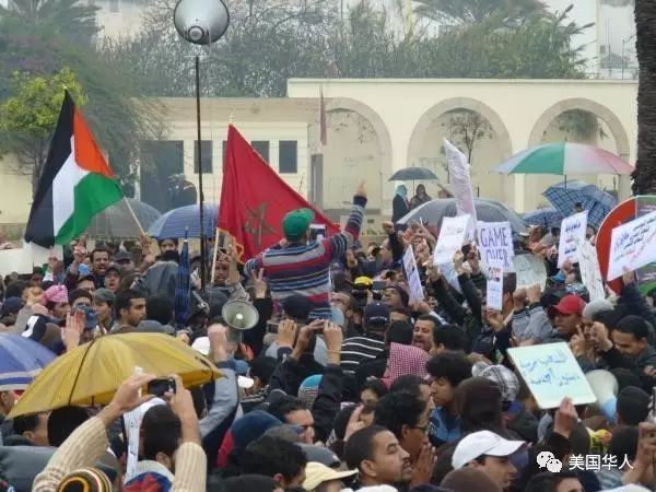 椰枣树下看一个穆斯林国家政治 — 伊斯兰与民主之一瞥