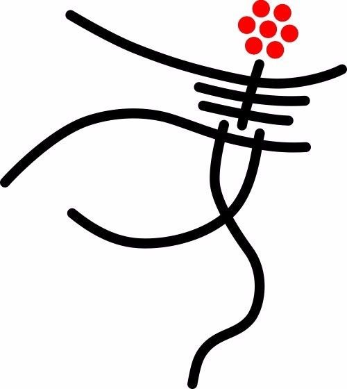 总统上任周年：政府关门，全美妇女大游行（多图）