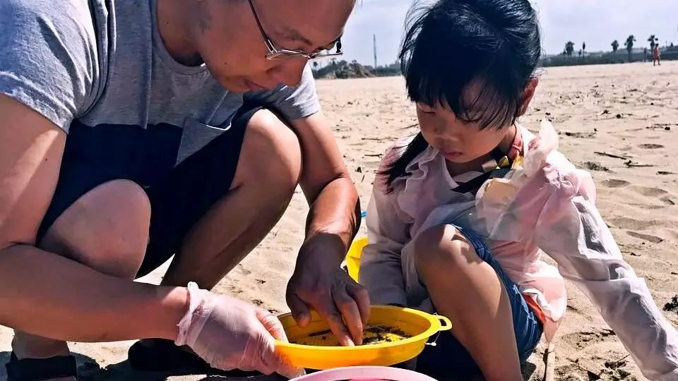 保护海洋，我们在行动！南加华人积极参与亨廷顿海滩环保活动