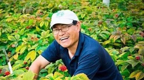 Featured image for 从都市医学博士到著名参农：华裔儒商下西洋的故事