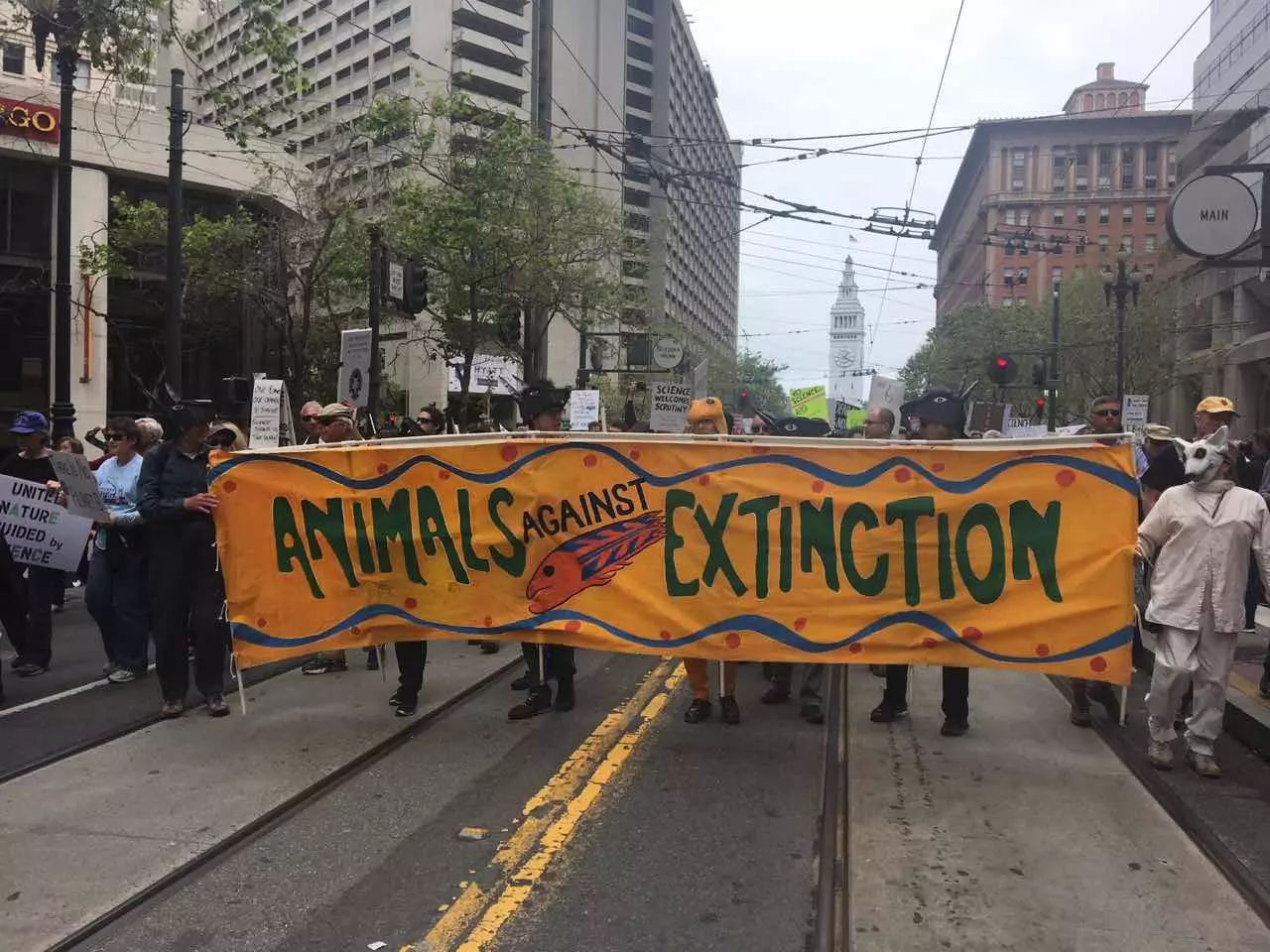 图姐 | 全球超过600城市爆发“科学大游行”（图片集锦）