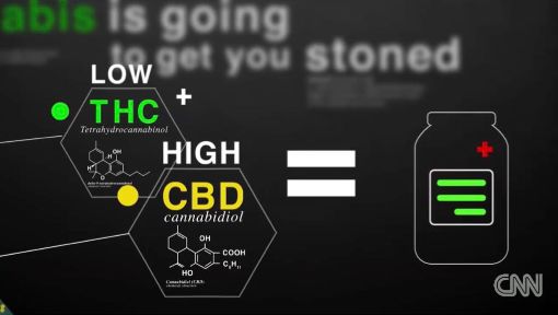 大麻！是美国鸦片危机的解药吗？