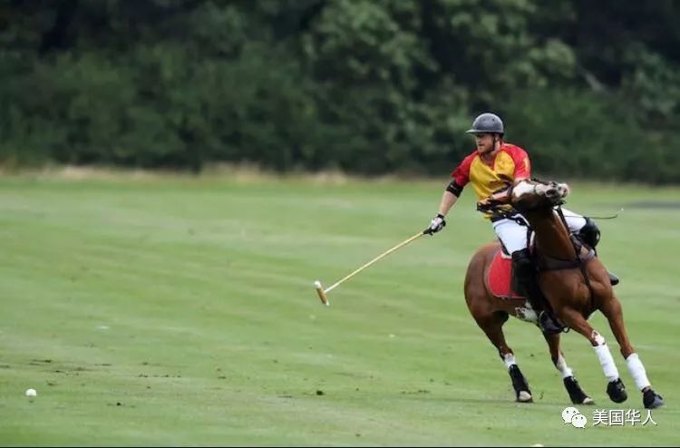 八哥 | 英国小王子订婚啦！未婚妻是美国非裔混血儿