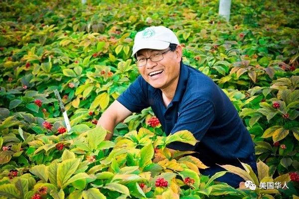 从都市医学博士到著名参农：华裔儒商下西洋的故事