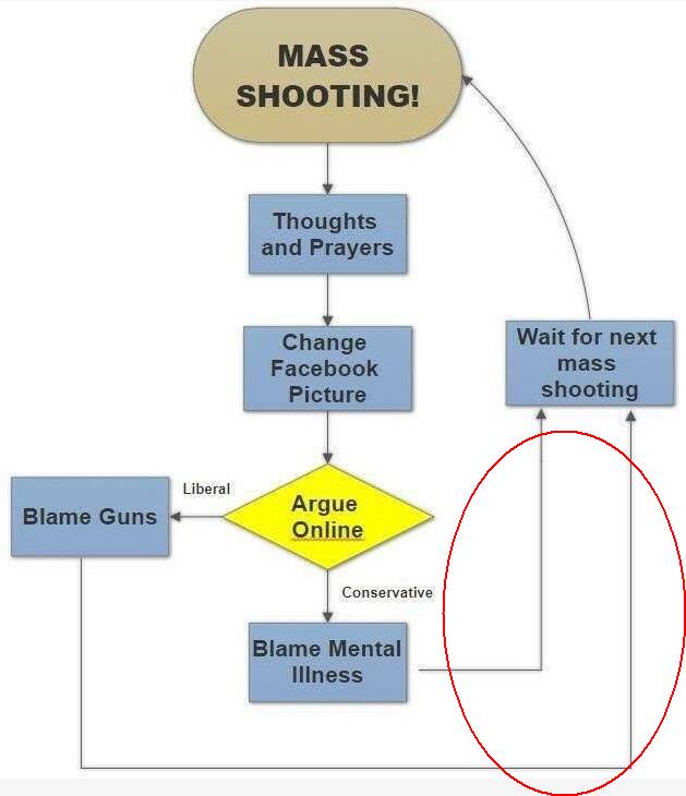 枪问题上被消音的声音