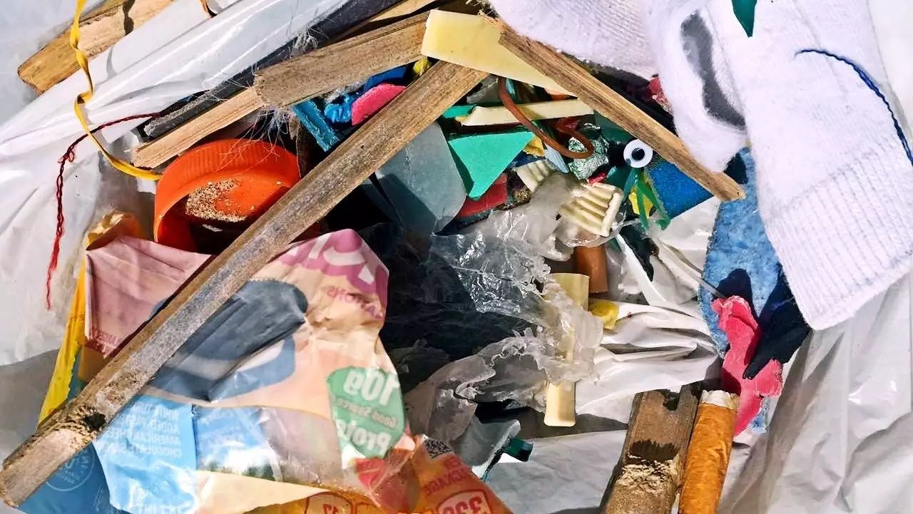 保护海洋，我们在行动！南加华人积极参与亨廷顿海滩环保活动