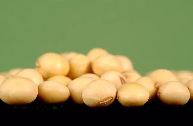 Featured image for 转基因之惑｜FunFood