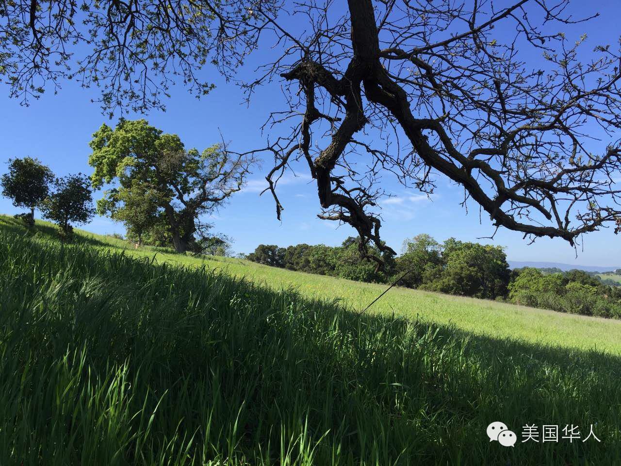 国外天空比较蓝？硅谷妈妈谈柴静《穹顶天下》观后感