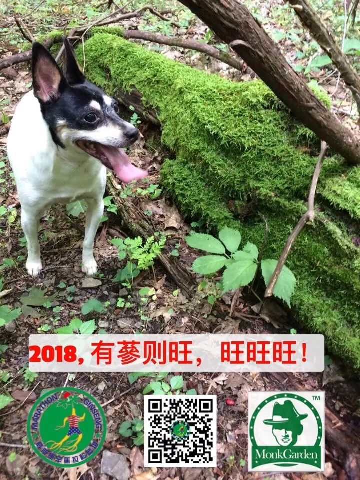 美国不再是“移民国家”！总统用一个寓言解释得通透淋漓