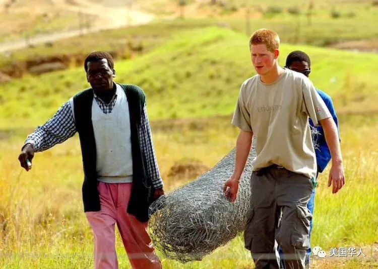 八哥 | 英国小王子订婚啦！未婚妻是美国非裔混血儿