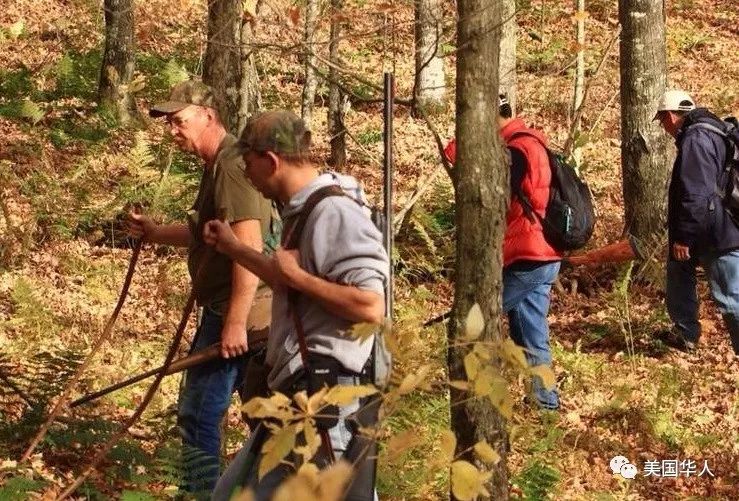 从都市医学博士到著名参农：华裔儒商下西洋的故事