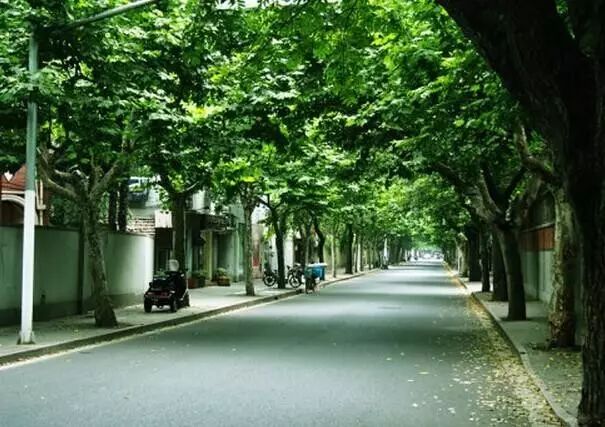 【情人节特刊】情定武康路 — 一对海华的珠婚恋