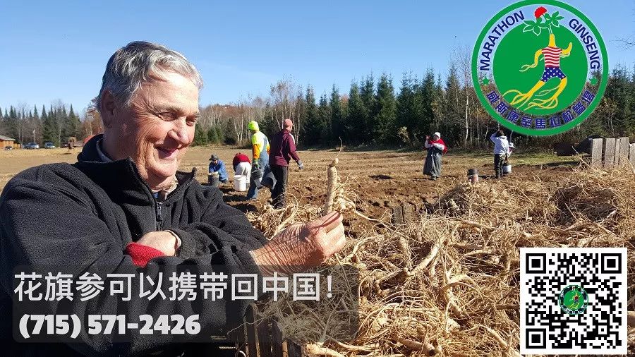 与陈霞芬分享胜利喜悦,三年来各方支持者心路历程访谈录 与陈霞芬分享胜利喜悦,三年来各方支持者心路历程访谈录