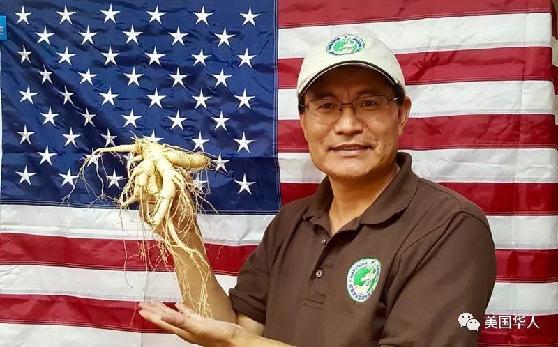 从都市医学博士到著名参农：华裔儒商下西洋的故事