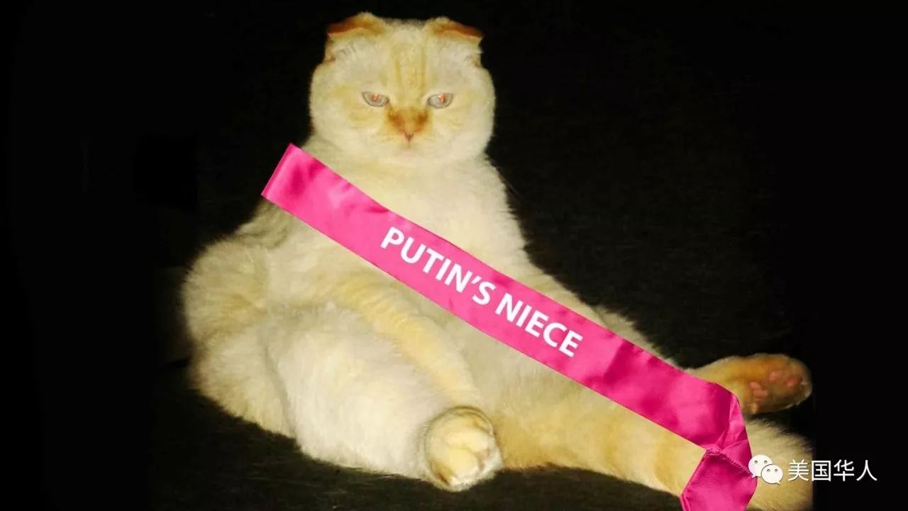 帕帕多普洛斯的“忠诚”以及神秘“普京侄女”的故事 帕帕多普洛斯的“忠诚”以及神秘“普京侄女”的故事