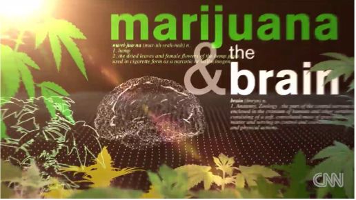 大麻！是美国鸦片危机的解药吗？