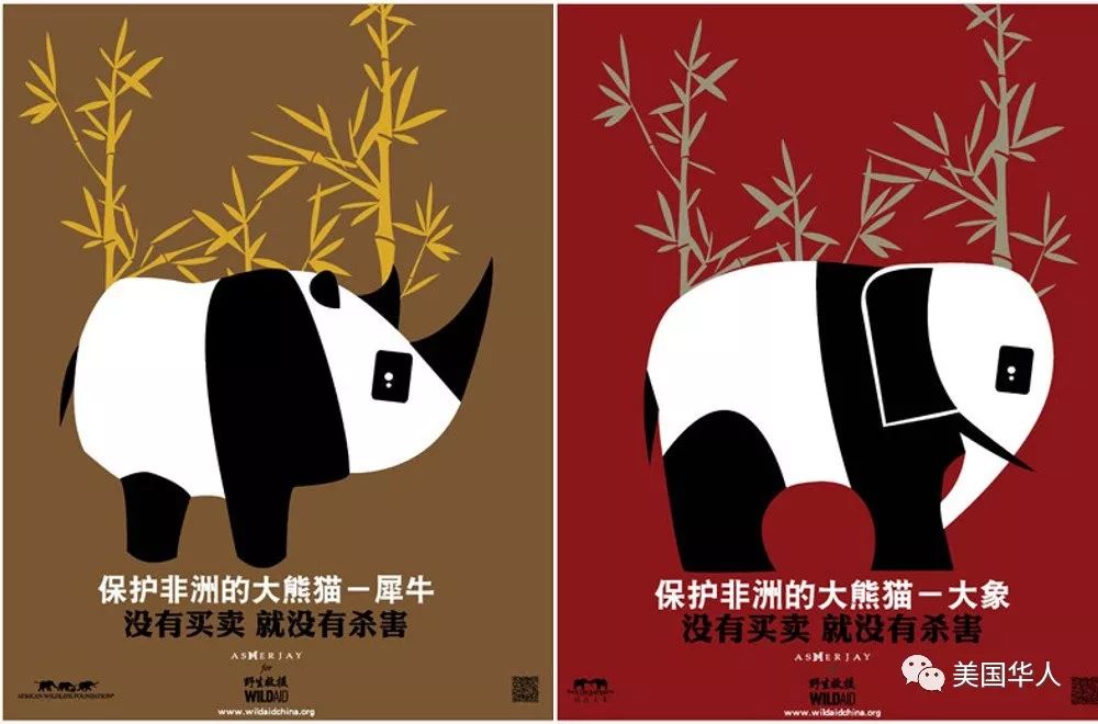 买了一件象牙制品，结果被恐怖组织感谢