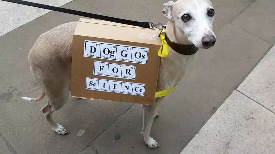 图姐 | 全球超过600城市爆发“科学大游行”（图片集锦）