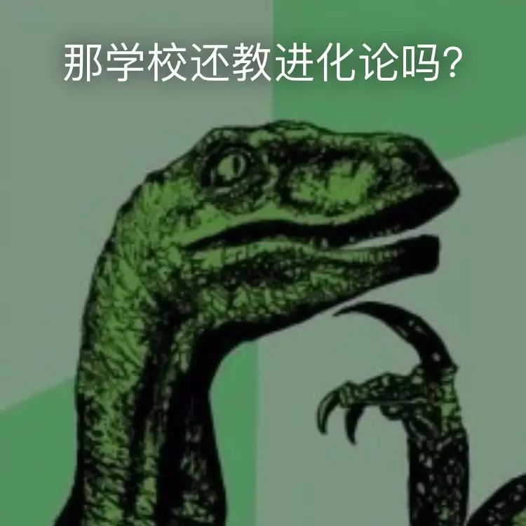 狐狸看守鸡舍？别让这个外行教育部长毁了美国教育