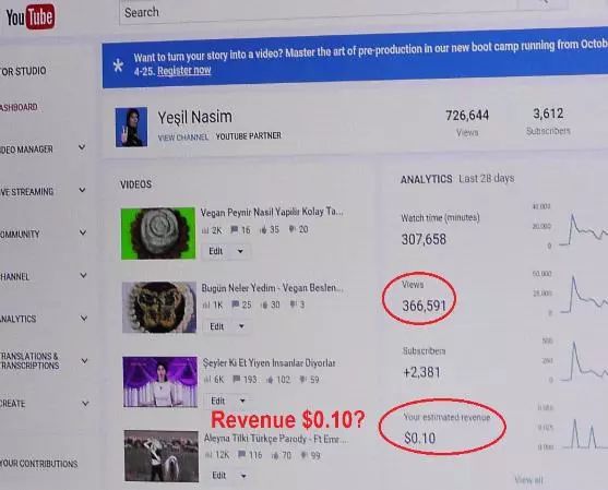 YouTube枪案枪手和动机曝光，码农们惊醒：枪声离我们那么近！ | 图姐