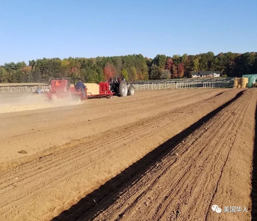 从都市医学博士到著名参农：华裔儒商下西洋的故事