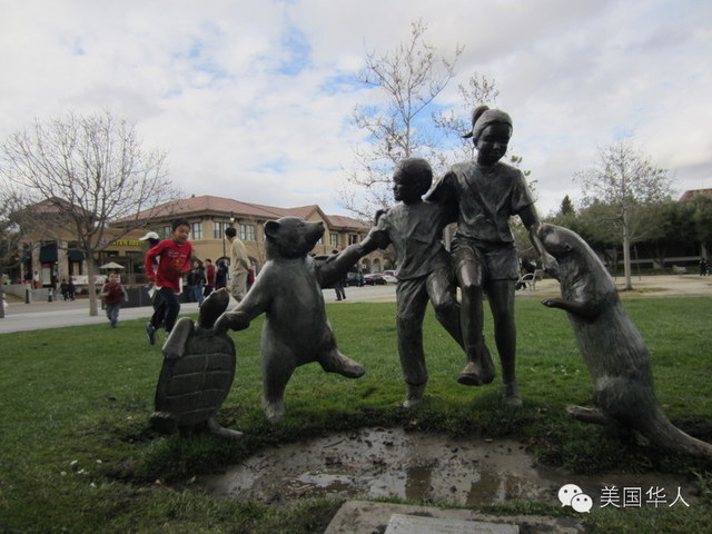 Featured image for 3/2 反SCA5 Cupertino Townhall Meeting纪实与感想