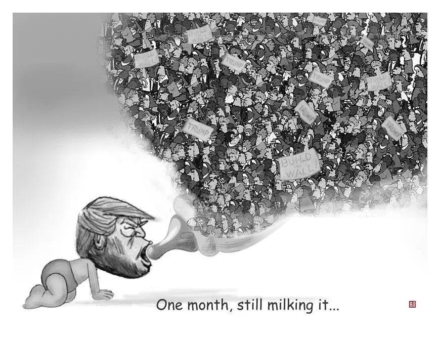 图姐 | 田召漫画专辑：川普执政一个月回顾