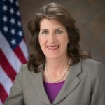 SV华人选举手册