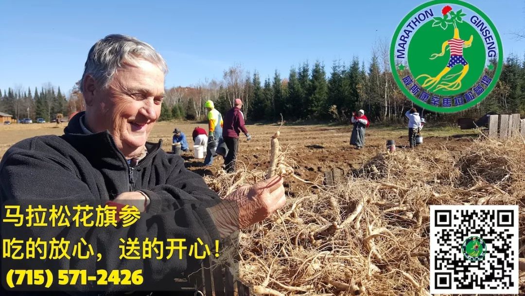 三胞胎的戏剧人生：情节比故事片更跌宕起伏的纪录片
