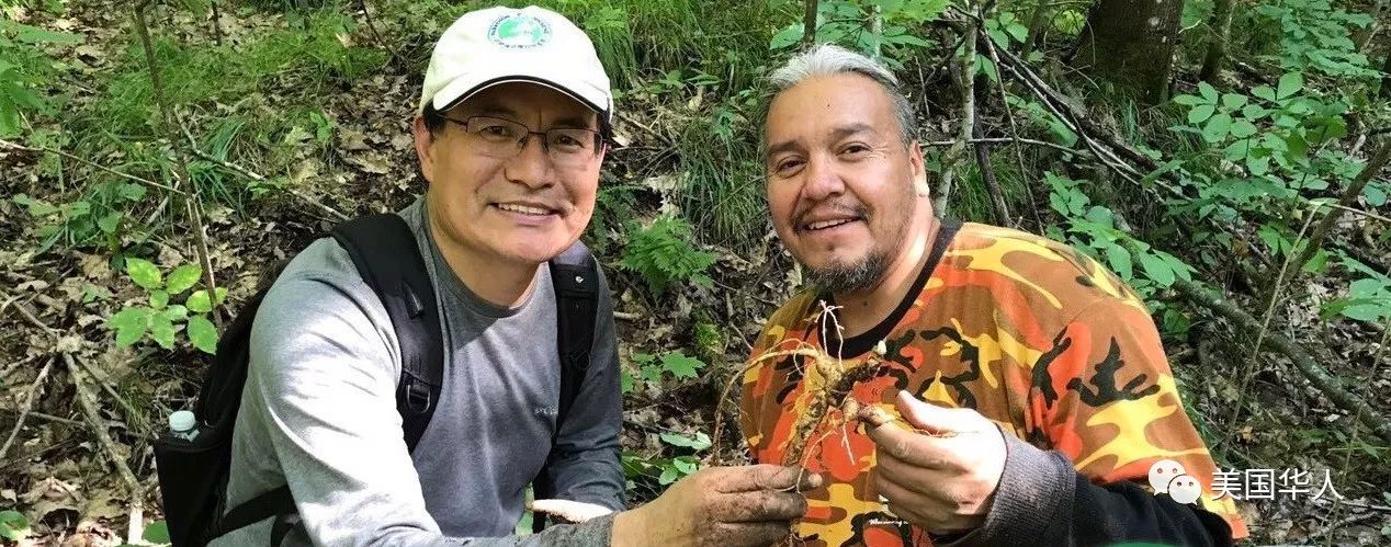 从都市医学博士到著名参农：华裔儒商下西洋的故事