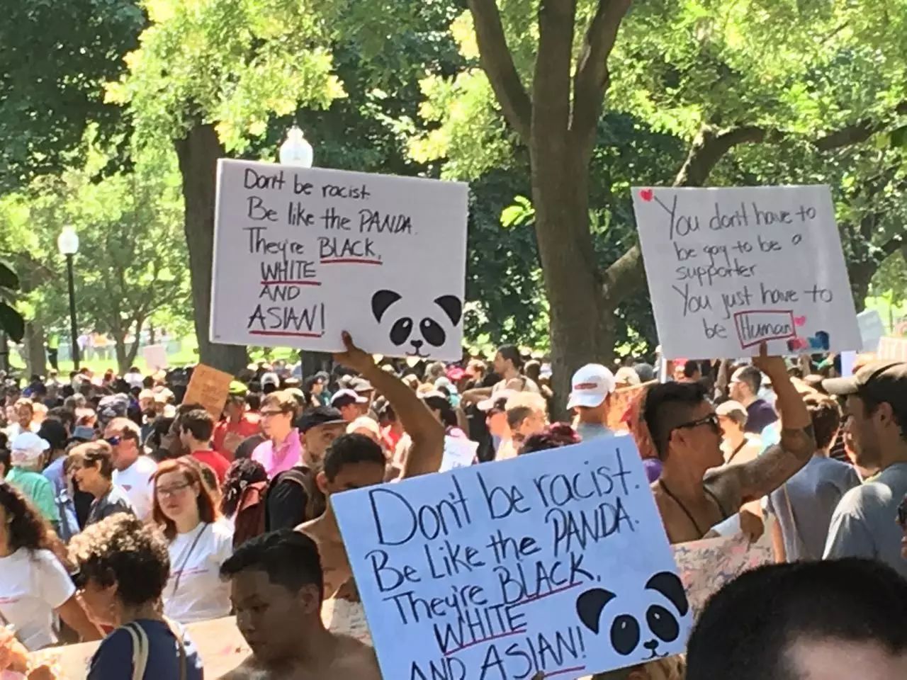 波士顿华人积极参与反制白人至上大游行（多图）