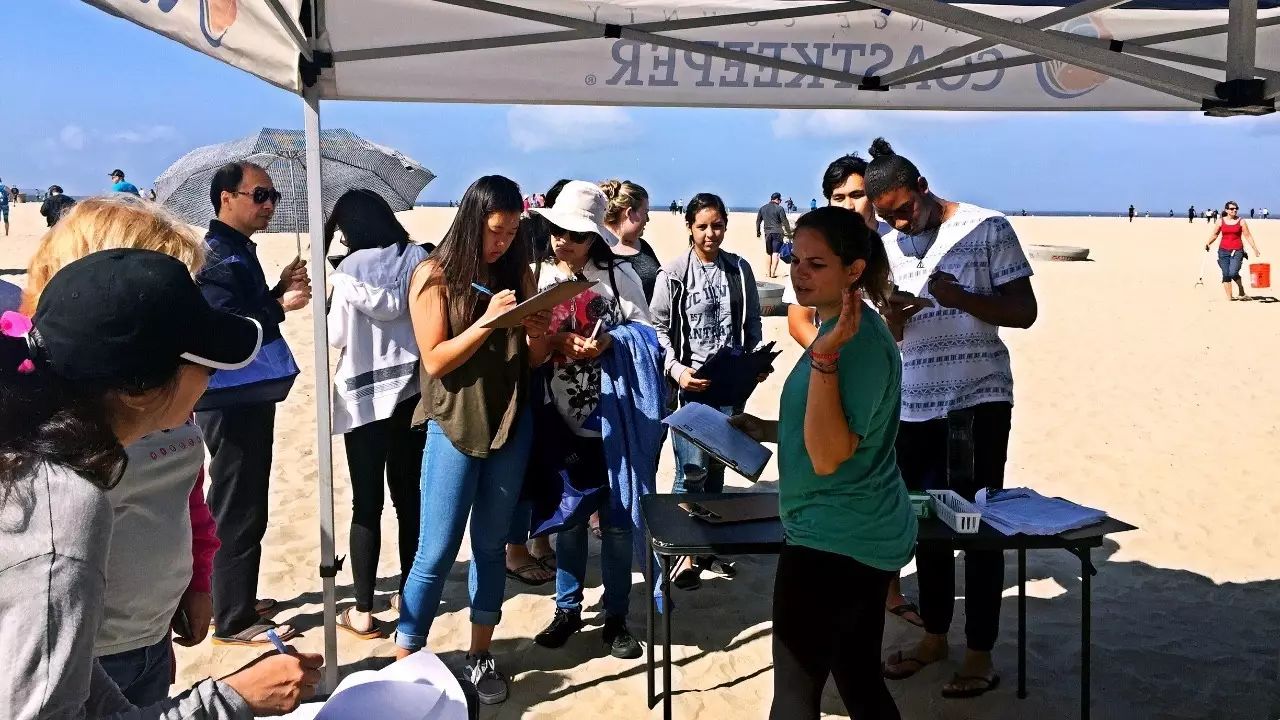 保护海洋，我们在行动！南加华人积极参与亨廷顿海滩环保活动