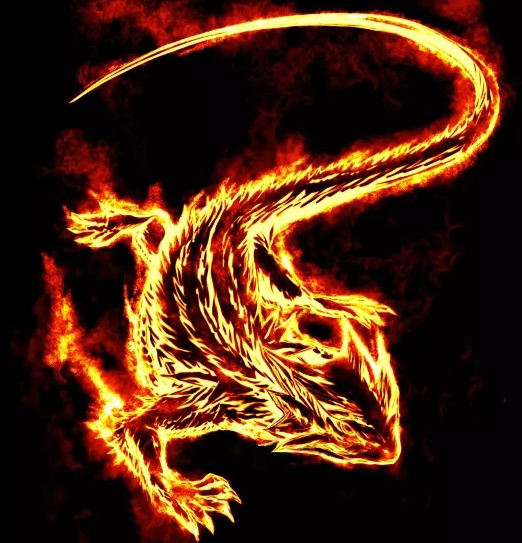 杰瑞先生的火蜥蜴，你的末日到了吗？