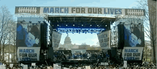 “生命大游行”席卷全美，华人积极参与，全球八百城市呼应 | 图姐