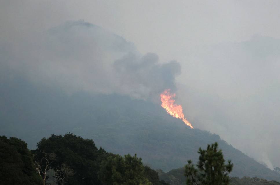 图姐 | 加州山火23人死亡包括一对百岁老人，几百人失踪，数千房屋被毁！