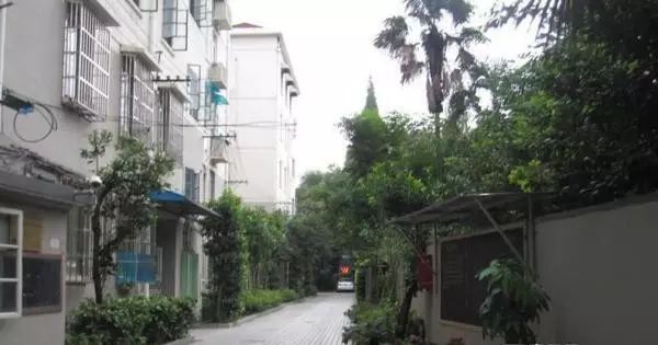 【情人节特刊】情定武康路 — 一对海华的珠婚恋