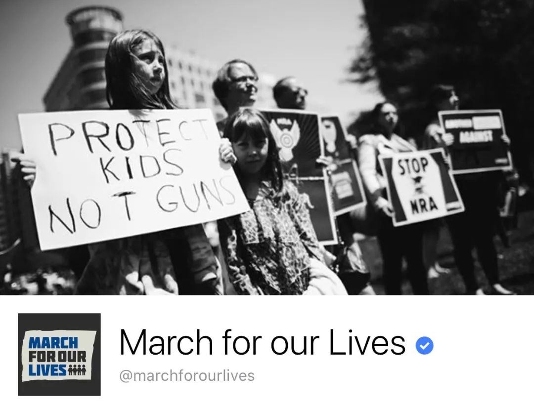 在自由与安全之间：美国人的枪