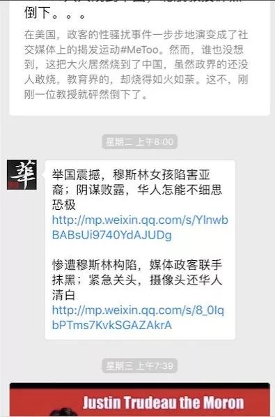 加拿大穆斯林女孩撒谎事件与中国新移民的“自我构陷”