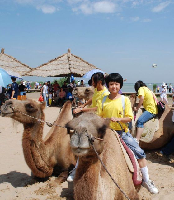 凋零的华裔美国海军陆战队之花回家了......