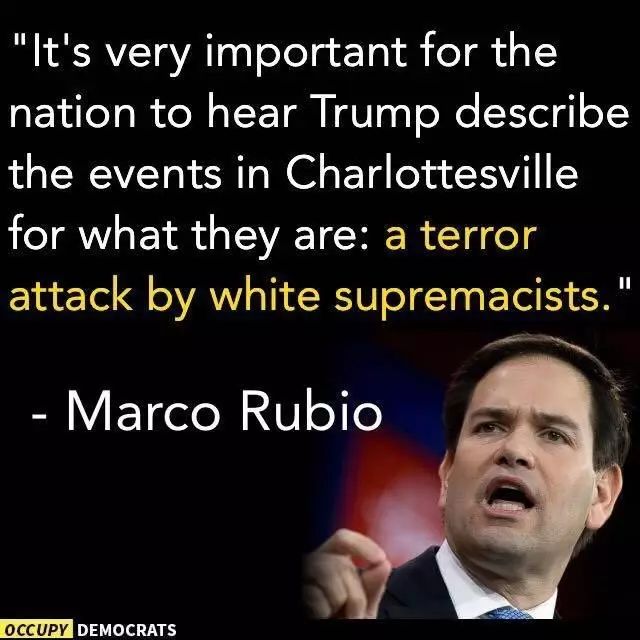 今天弗吉尼亚的游行到底是不是白人至上游行