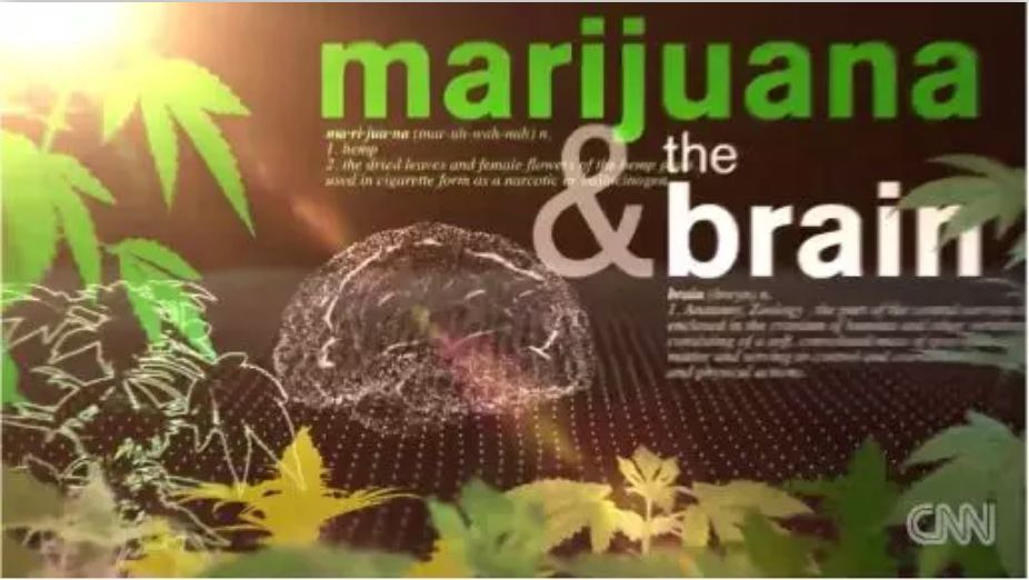 美国全国大麻合法了？别忽悠了，那是“汉麻” | 图姐